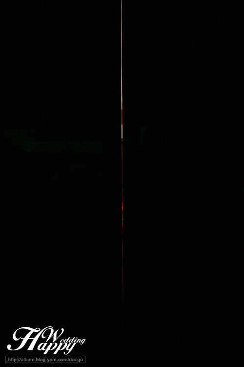 1019.jpg